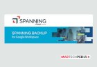 Spanning Backup for Google Workspace - Evaluation Criteria