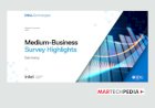 Medium-Business Survey Highlights
