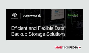 Efficient and Flexible Data Backup Storage Solutions