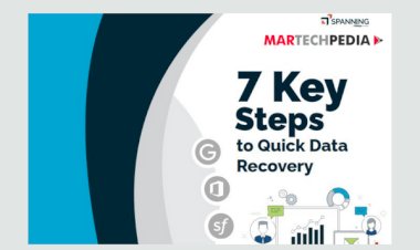 7 Key Steps to Quick Data Recovery