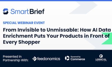 From Invisible to Unmissable: How AI Data Enrichment Puts Your Products in Front of Every Shopper