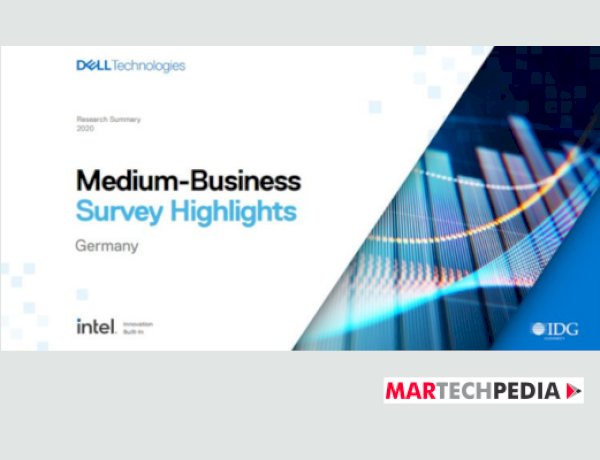 Medium-Business Survey Highlights