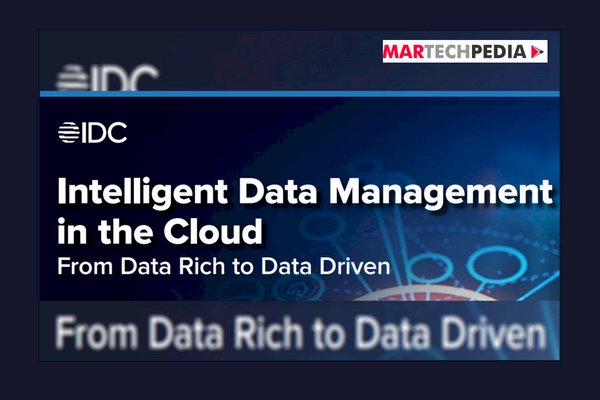 Intelligent Data Management in the Cloud: From Data Rich to Data Driven